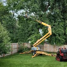 Best Lawn Watering Services  in Mount Sterling, IL